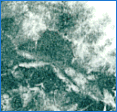 marbling